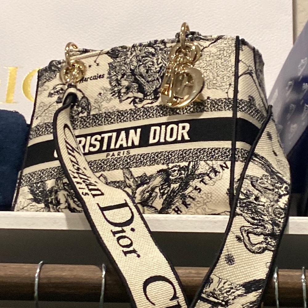 Brand new Dior embroidered lady bag
